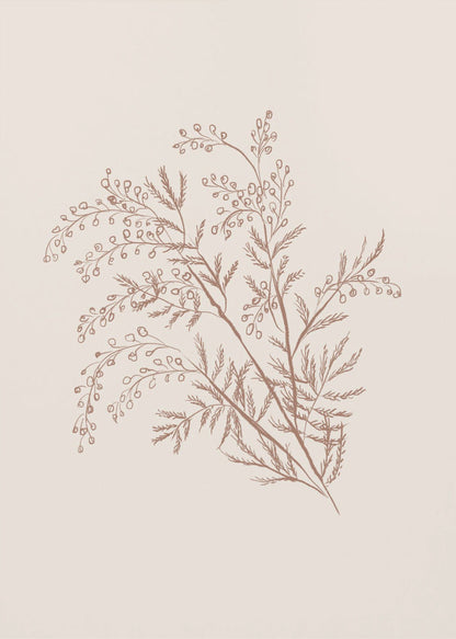 Décoration murale Branche botanique d'acacia
