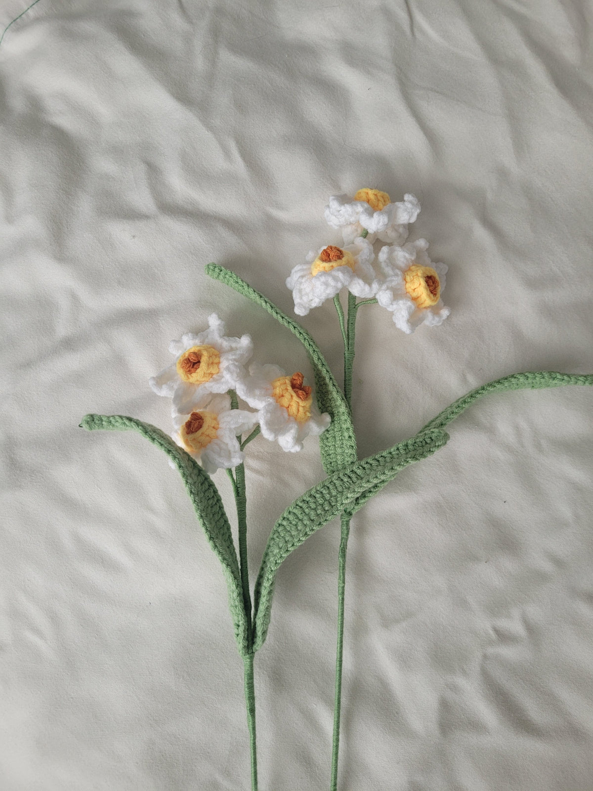 Daffodils