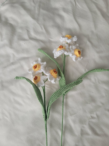Daffodils