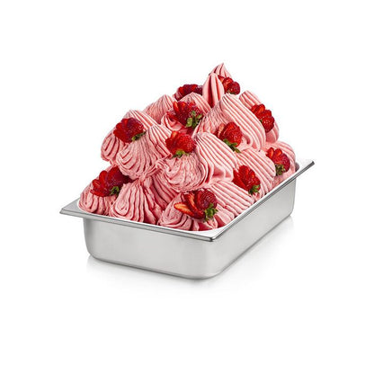 Ready Fruit 500 Végétal - Base de Gelato aux Fruits - Caisse de 4 sacs de 3 KG - Rubicone Canada - Livraison Gratuite au Canada pour les Commandes de Plus de 199 CAD