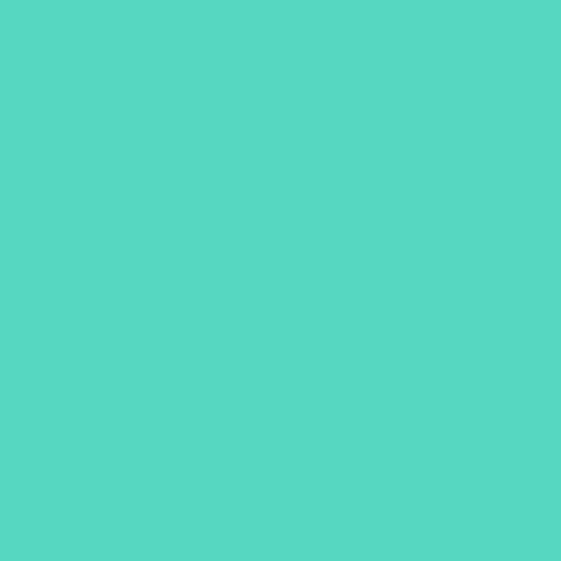 Siser Retro Mint Easyweed 12" x 5ft