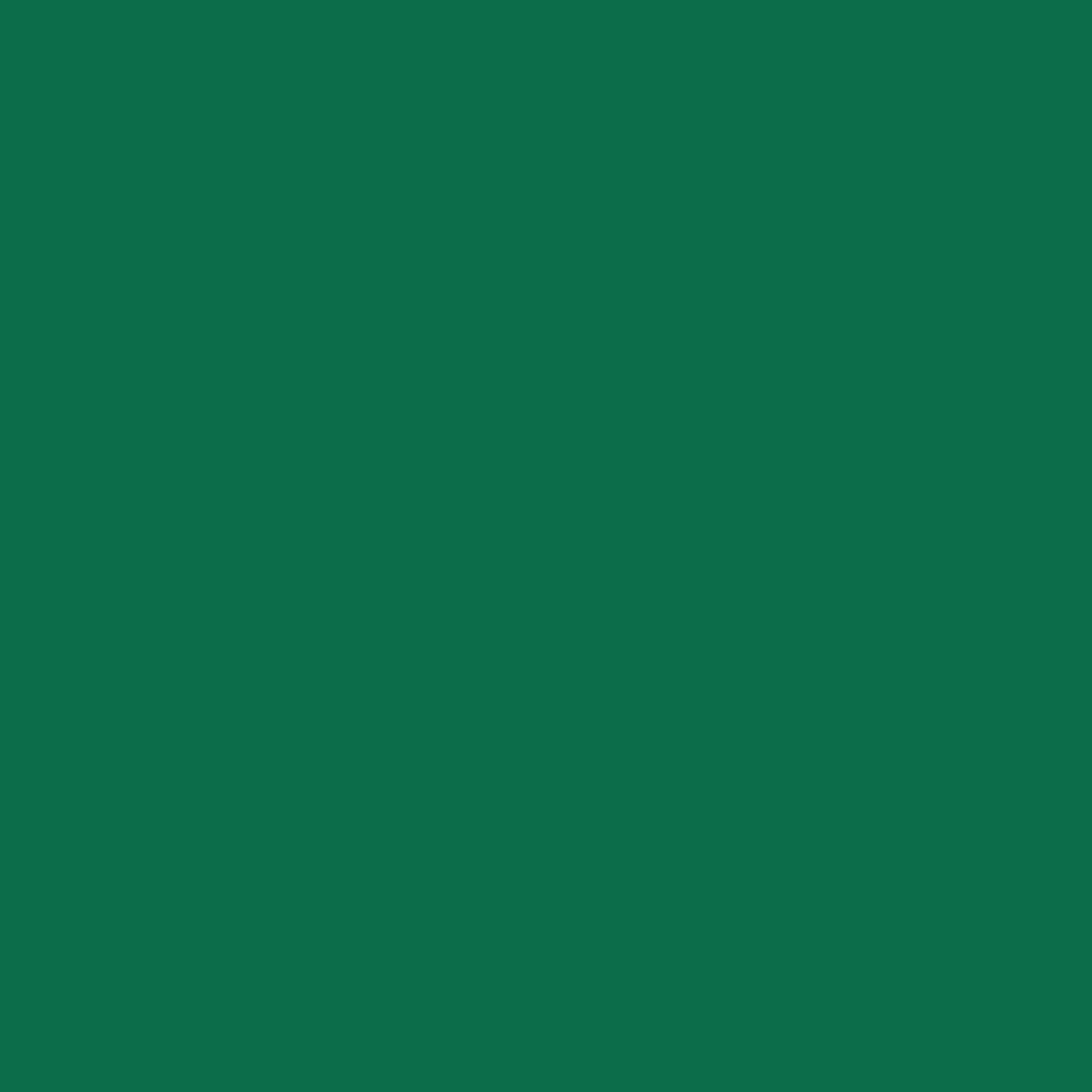 Siser Matte Green Easyweed 10 Yard Roll