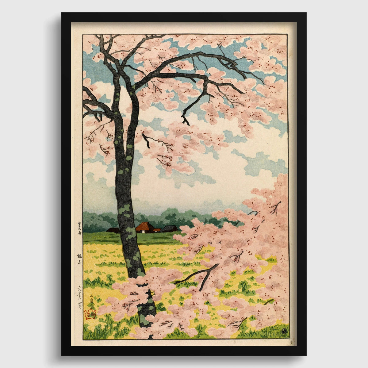 Takahashi Shotei Cherry Blossoms Print: Vintage Japanese Woodblock Art